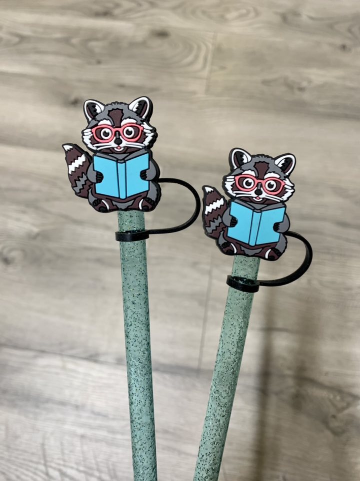 Raccoon Reading Bundle