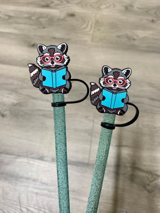 Raccoon Reading Bundle